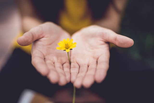 Astrologie und Coaching - Strategien zur Problemlösung