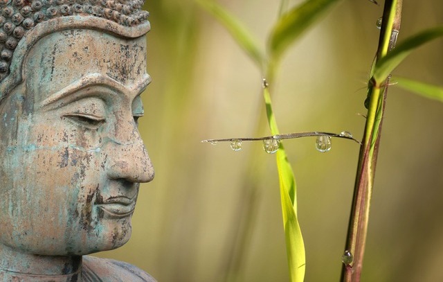 Buddhistische Meditation Seminare & Kurse