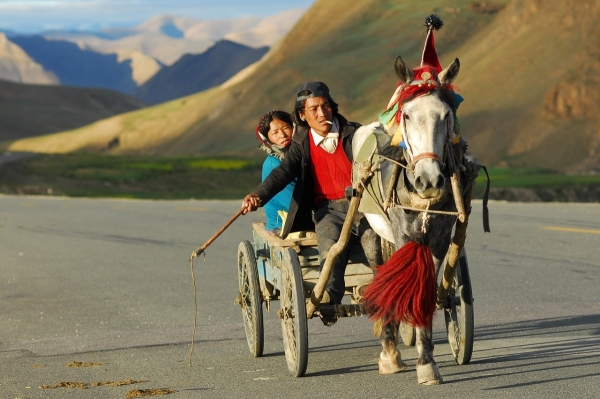 Der tibetische Bauer und sein Pferd