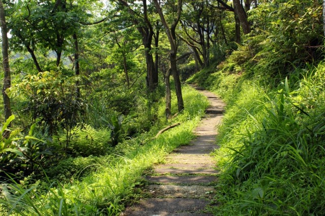 Weg zum Guanyin-Tempel