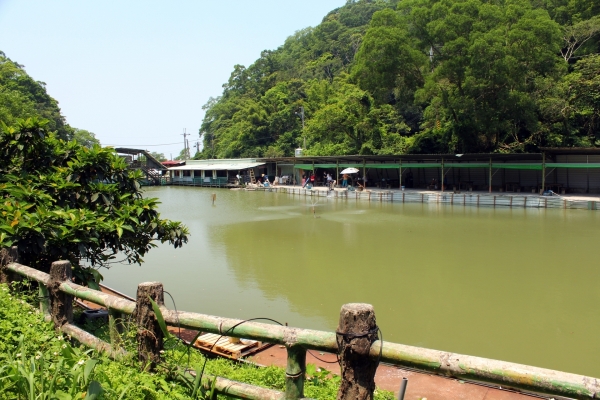 Teich beim Guanyin-Tempel