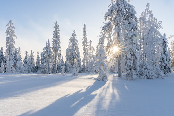 Wintersonnenwende, Weihnachten & Rauhnächte